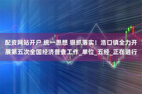 配资网站开户 统一思想 狠抓落实！浩口镇全力开展第五次全国经济普查工作_单位_五经_正在进行